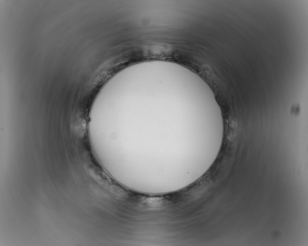 X0000112390324200909101417