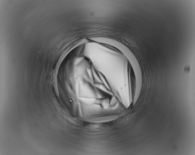 X0000112390325200909101417