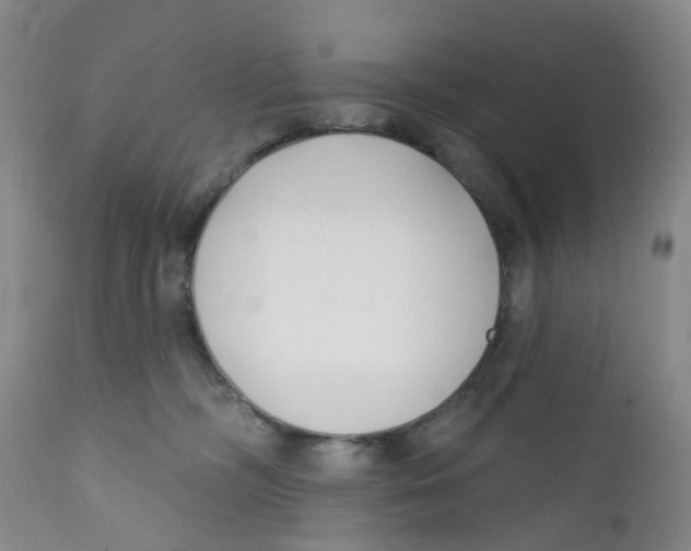 X0000112390326200909101417
