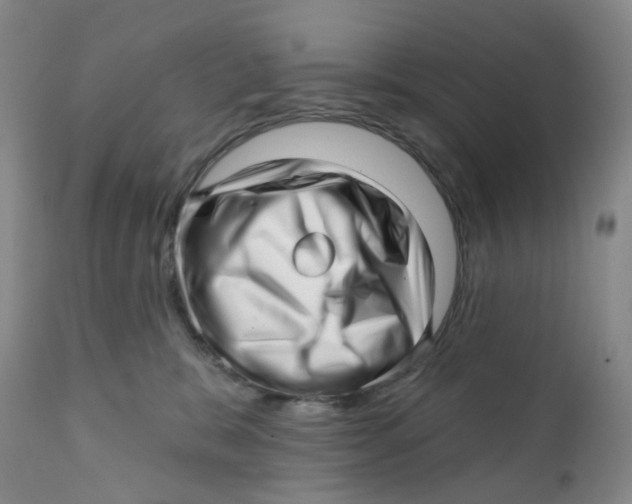 X0000112390327200909101417