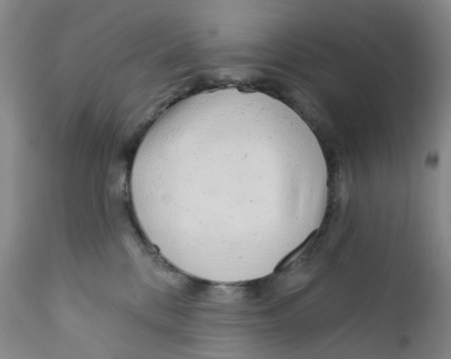 X0000112390328200909101417