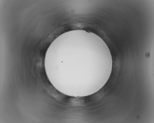 X0000112390331200909101417