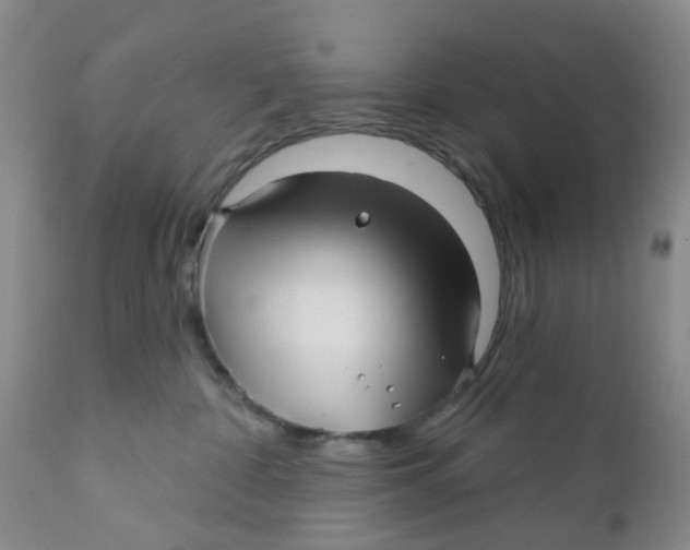 X0000112390332200909101417