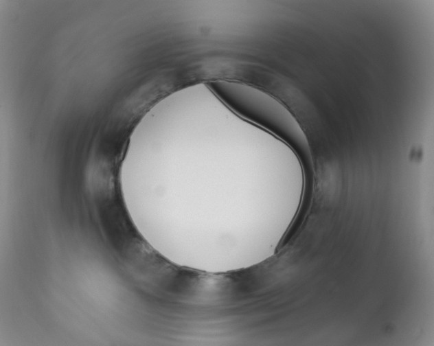 X0000112390333200909101417