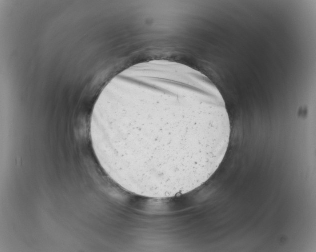 X0000112390335200909101417
