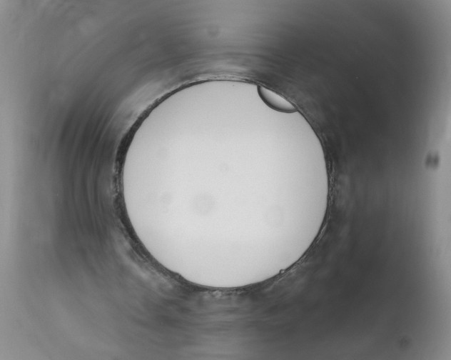 X0000112390338200909101416