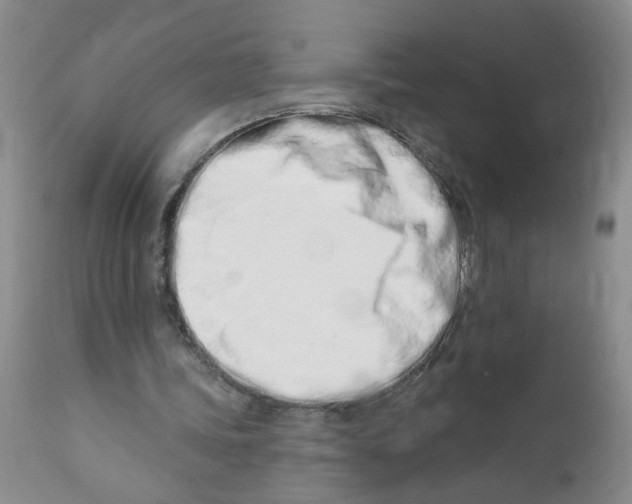X0000112390339200909101416