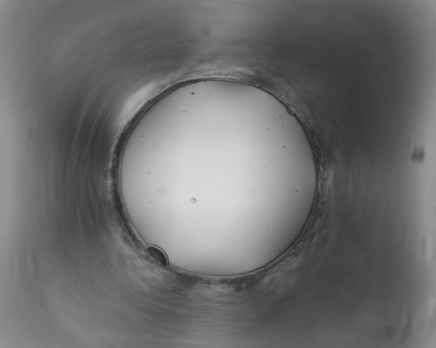 X0000112390340200909101416