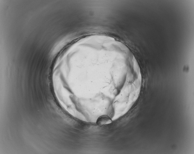 X0000112390341200909101416