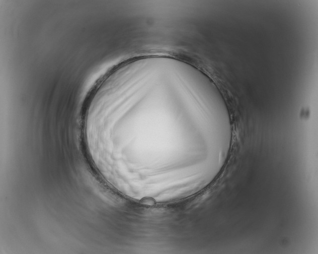 X0000112390342200909101416