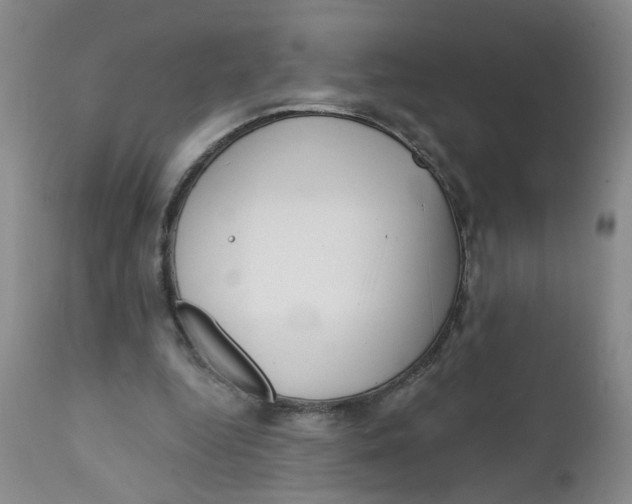 X0000112390344200909101416