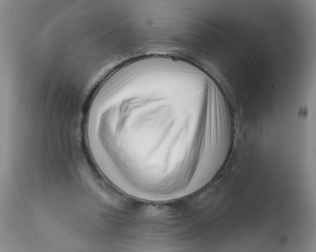 X0000112390346200909101416
