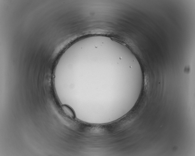 X0000112390348200909101416