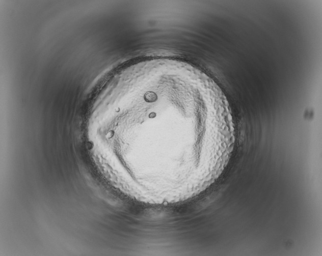 X0000112390351200909101416