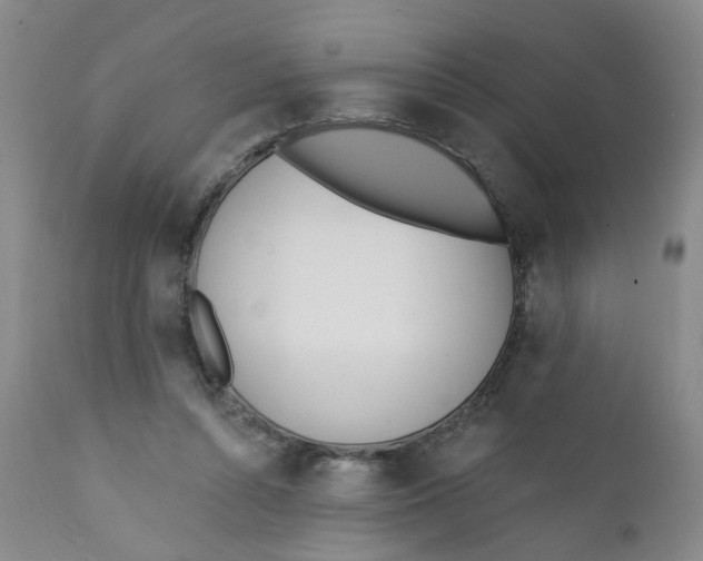 X0000112390352200909101416