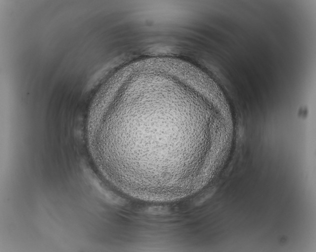 X0000112390353200909101416