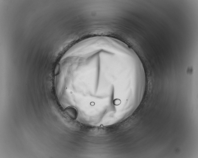 X0000112390354200909101416