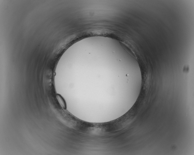 X0000112390356200909101416