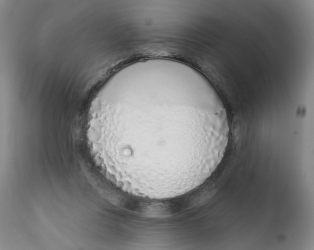 X0000112390359200909101416