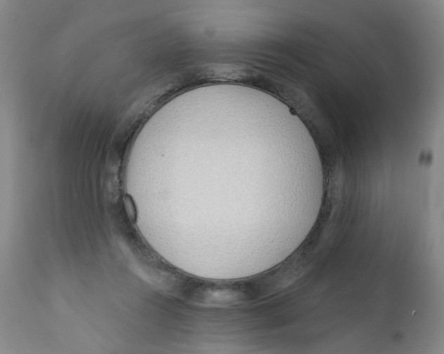 X0000112390360200909101416