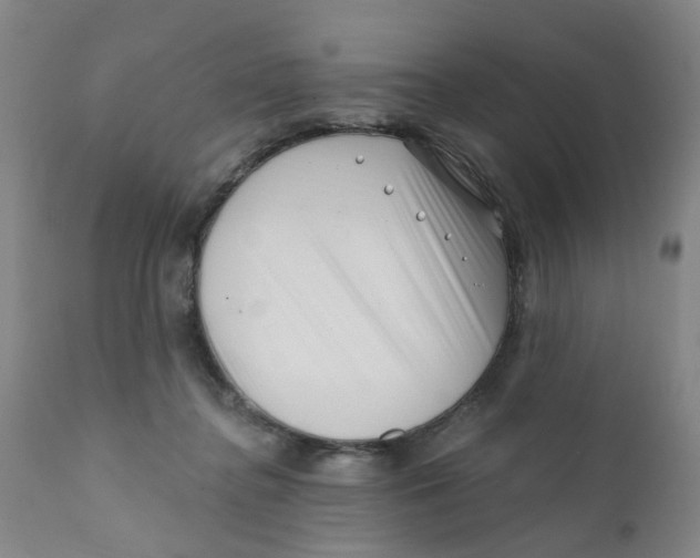 X0000112390364200909101416