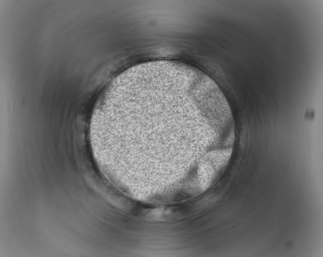 X0000112390366200909101416