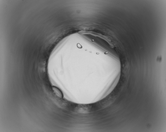 X0000112390368200909101416