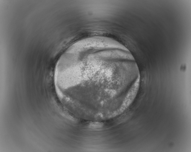 X0000112390369200909101416