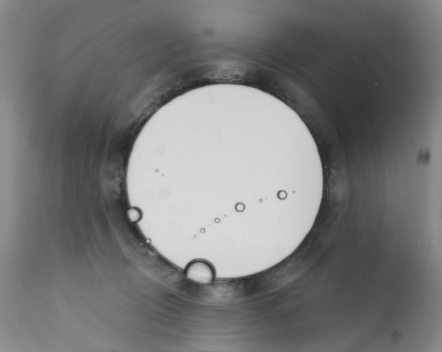 X0000112390370200909101416