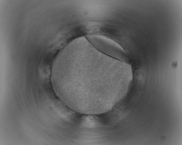 X0000112390372200909101416