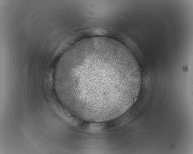 X0000112390373200909101416