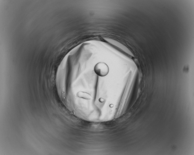 X0000112390376200909101416