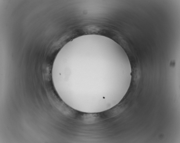 X0000112390378200909101417