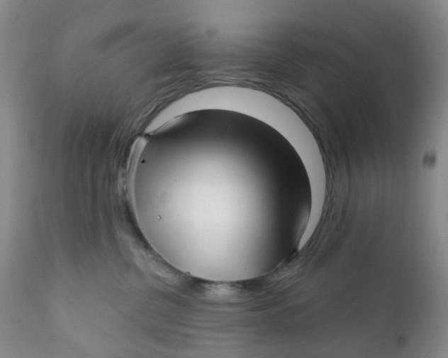 X0000112390380200909101417