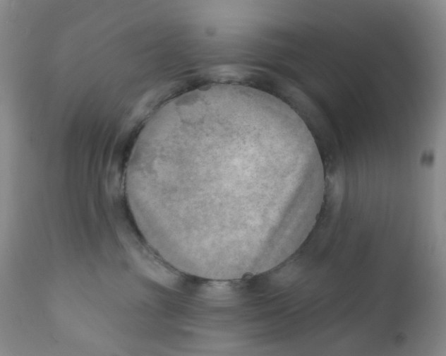 X0000112390381200909101417