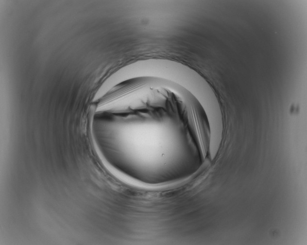 X0000112390384200909101417