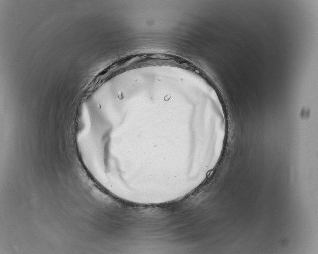X0000112390385200909101416