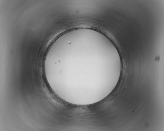 X0000112390386200909101416