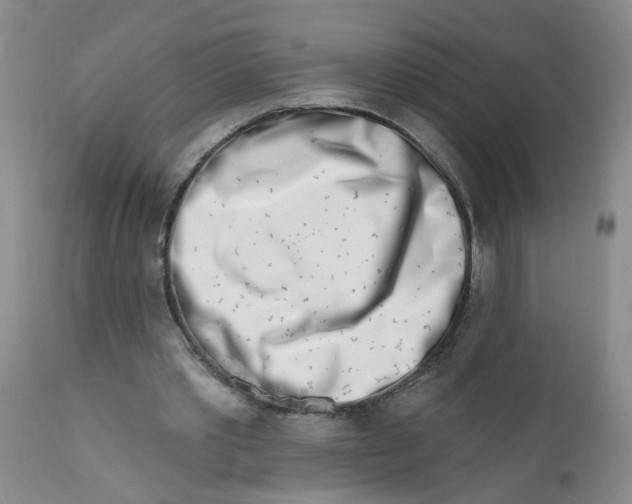 X0000112390389200909101416