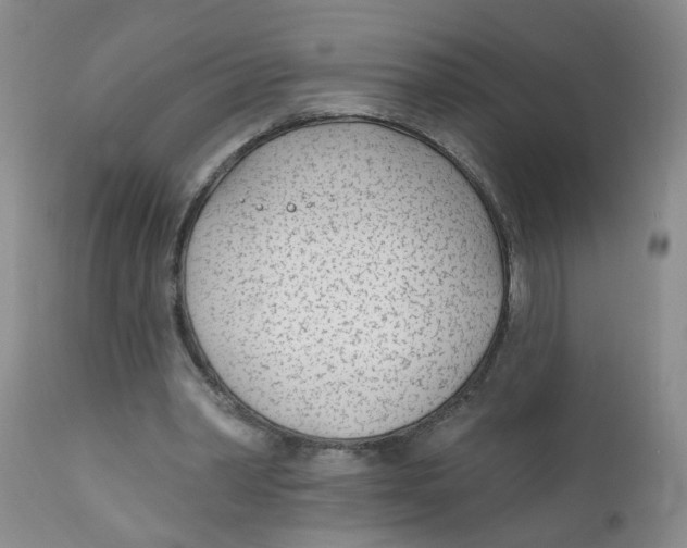 X0000112390390200909101416