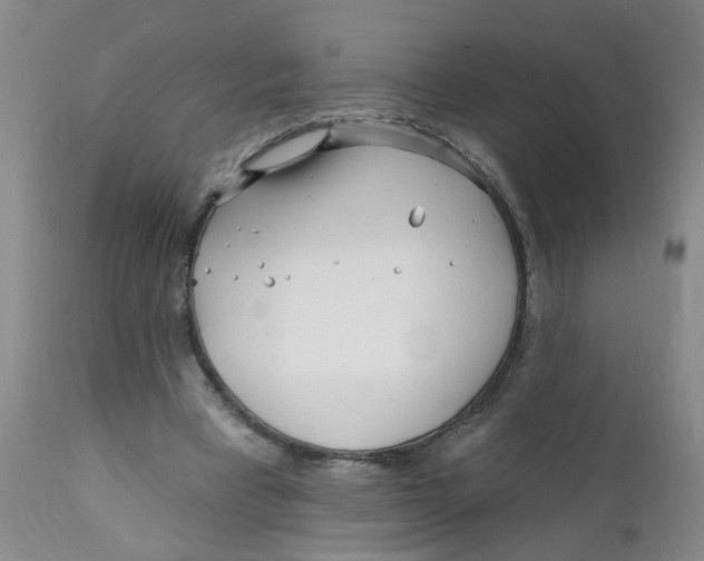 X0000112390393200909101416