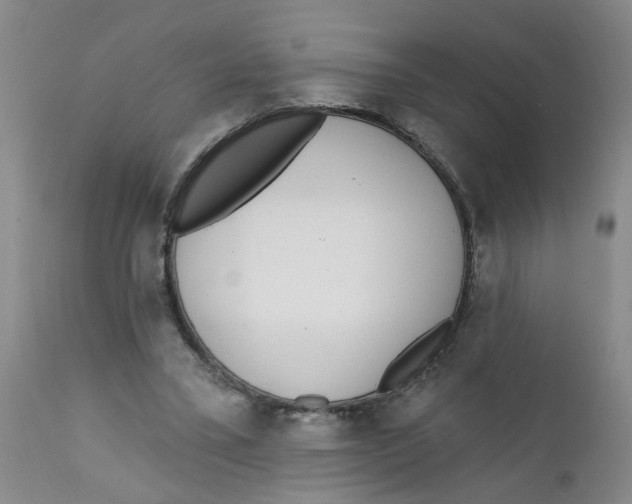 X0000112390395200909101416