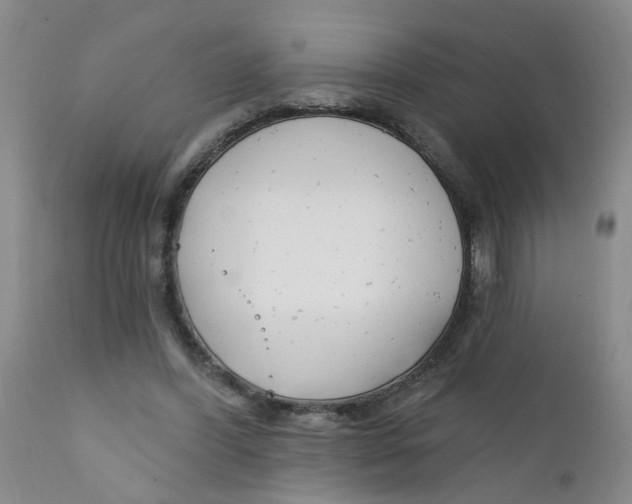 X0000112390396200909101416