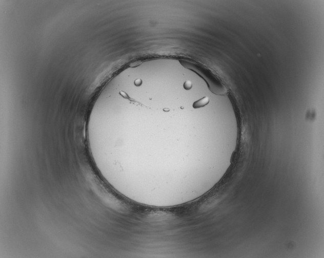 X0000112390397200909101416
