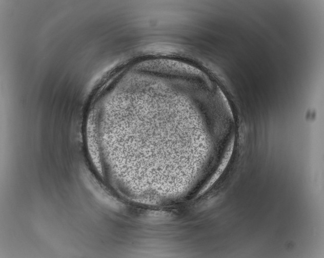 X0000112390399200909101416