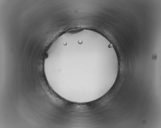 X0000112390401200909101416