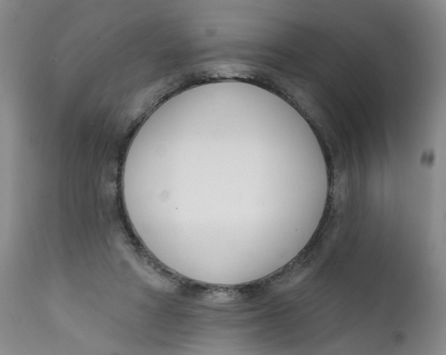 X0000112390402200909101416