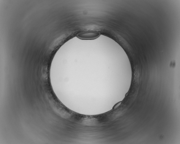 X0000112390403200909101416