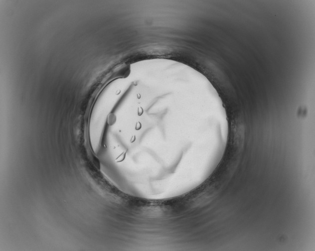 X0000112390404200909101416