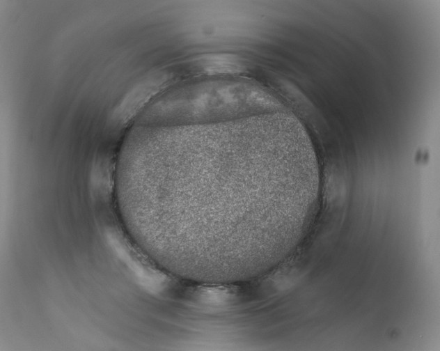 X0000112390405200909101416